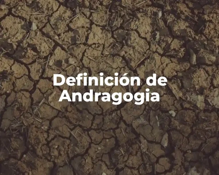 Definición de Andragogia