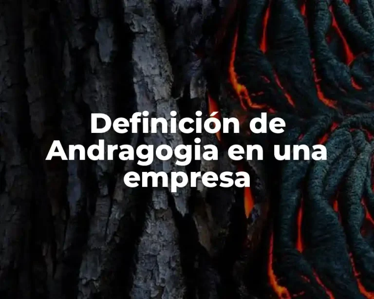 Definición de Andragogia en una empresa
