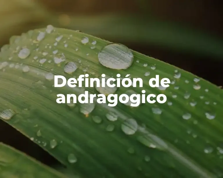 Definición de andragogico