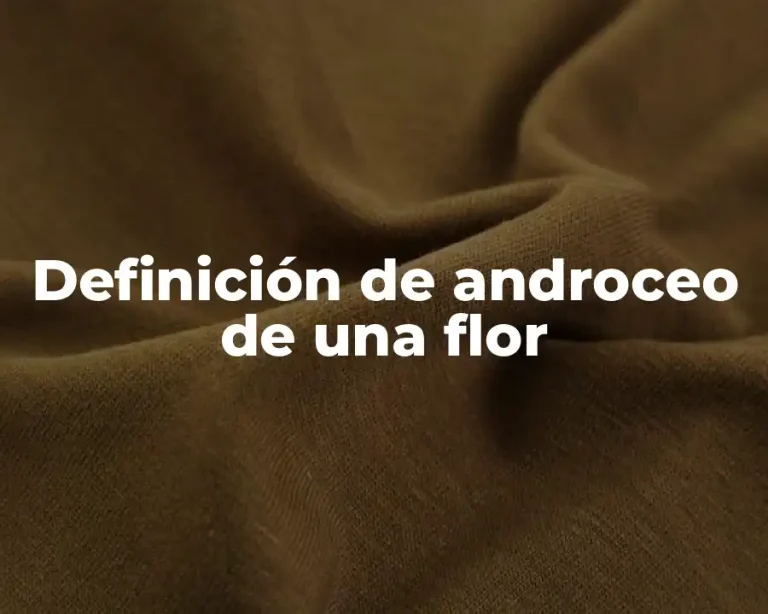 Definición de androceo de una flor