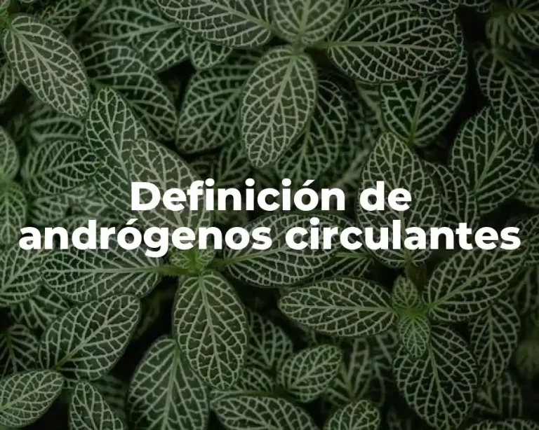 Definición de andrógenos circulantes