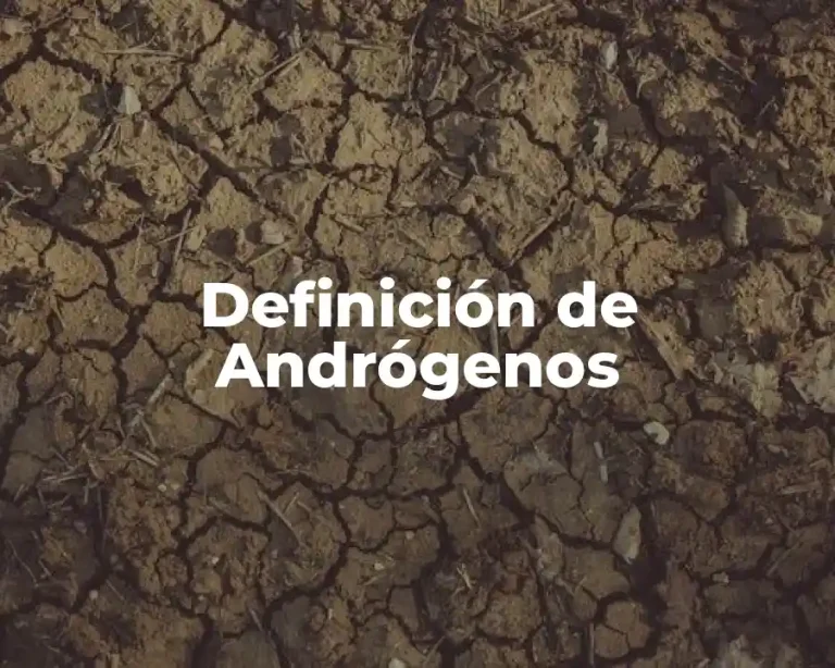 Definición de Andrógenos