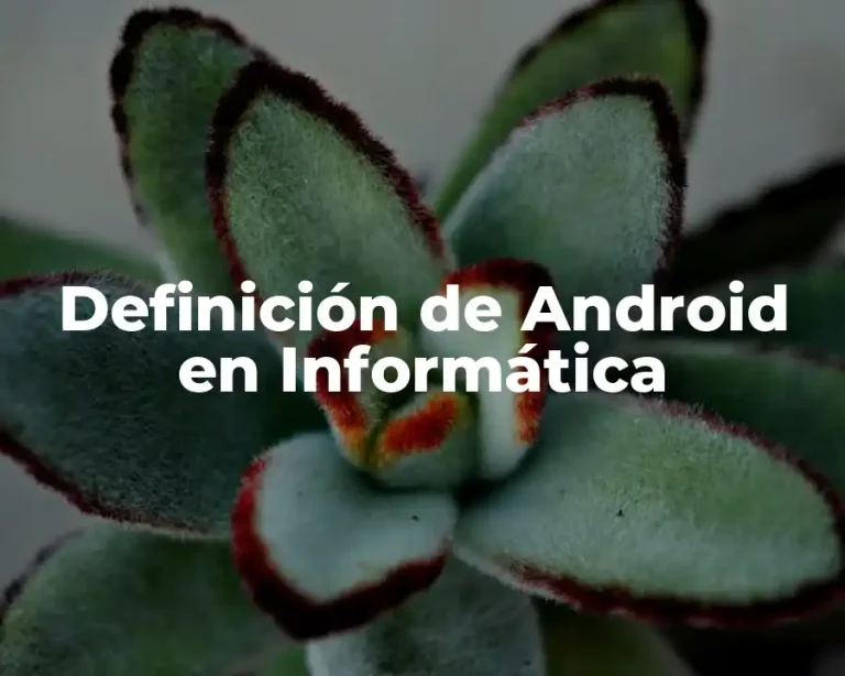 Definición de Android en Informática