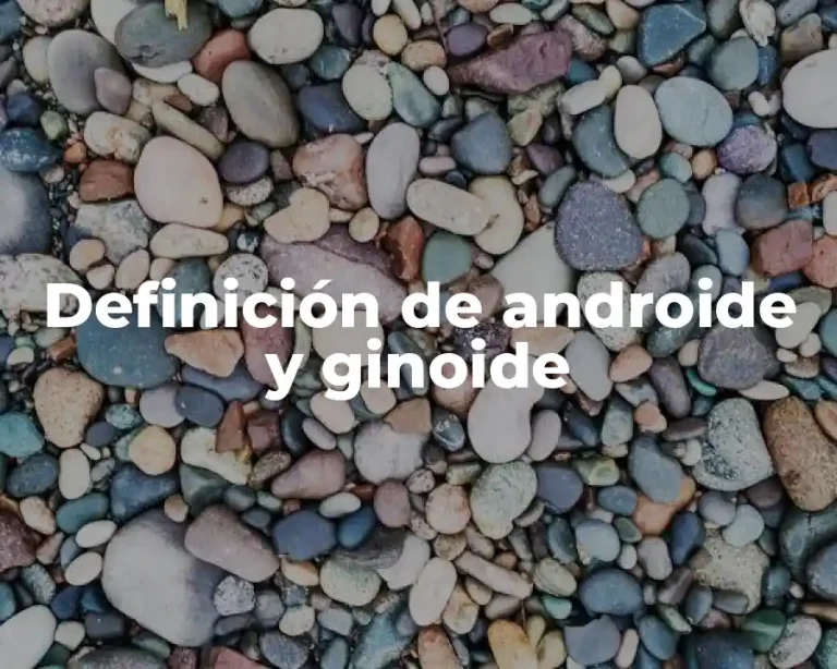 Definición de androide y ginoide