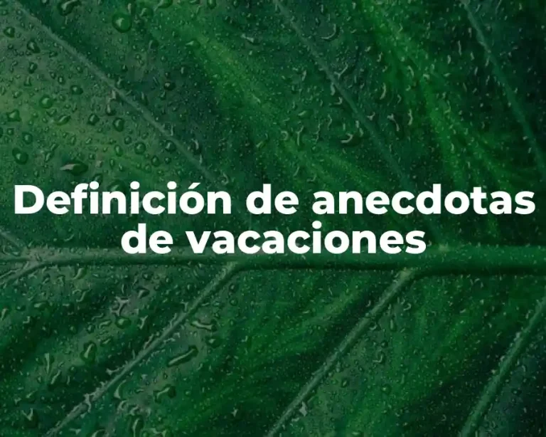 Definición de anecdotas de vacaciones