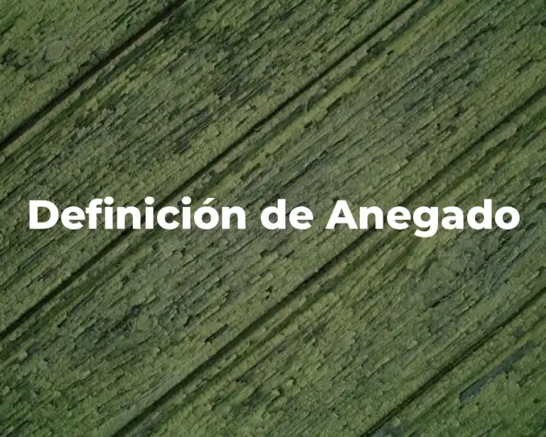 Definición de Anegado