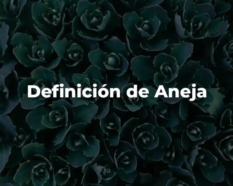 Definición de Aneja