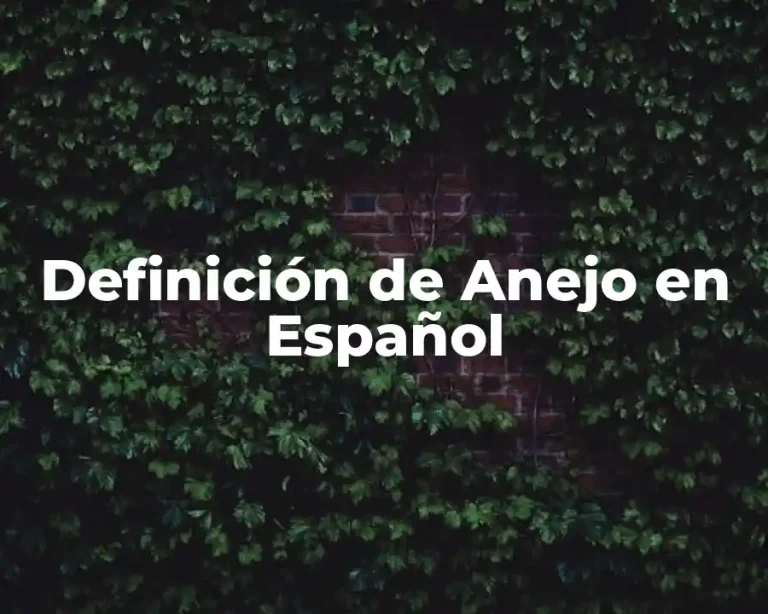 Definición de Anejo en Español