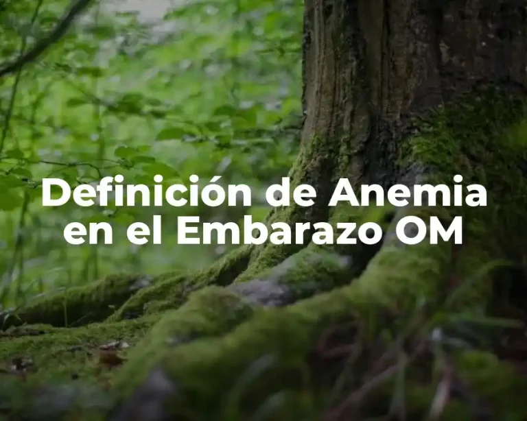 Definición de Anemia en el Embarazo OM
