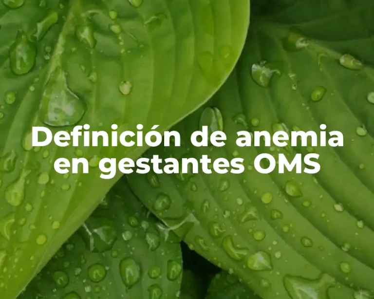Definición de anemia en gestantes OMS