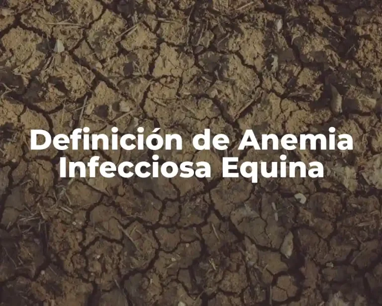 Definición de Anemia Infecciosa Equina