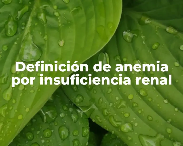 Definición de anemia por insuficiencia renal