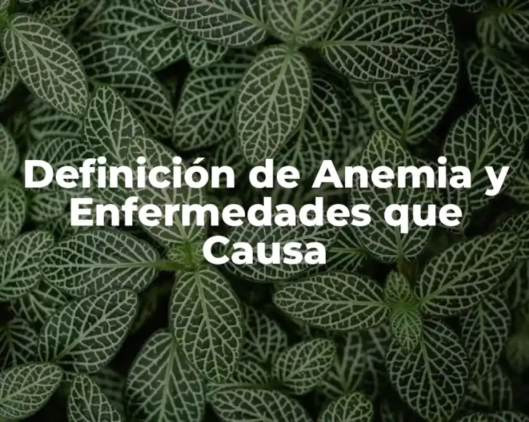 Definición de Anemia y Enfermedades que Causa