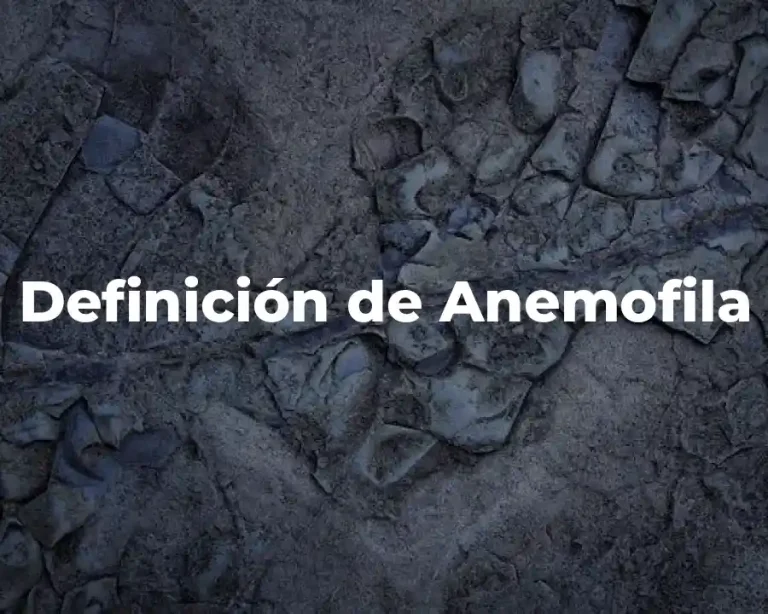 Definición de Anemofila