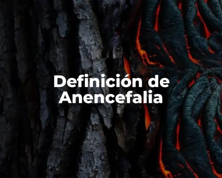 Definición de Anencefalia