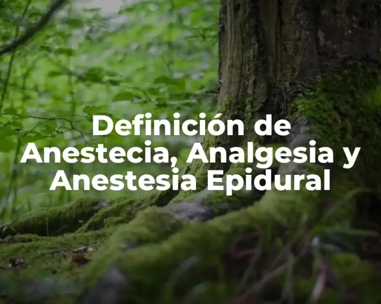 Definición de Anestecia, Analgesia y Anestesia Epidural