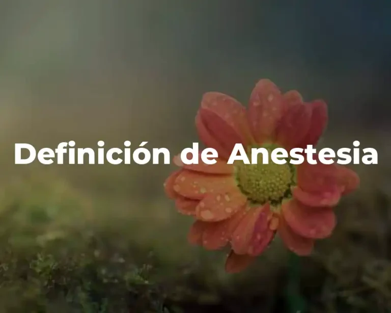 Definición de Anestesia