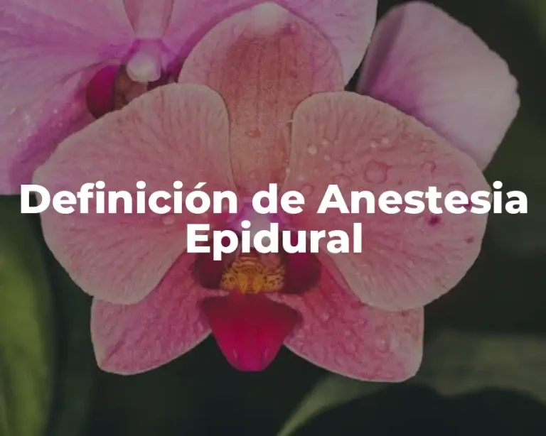 Definición de Anestesia Epidural