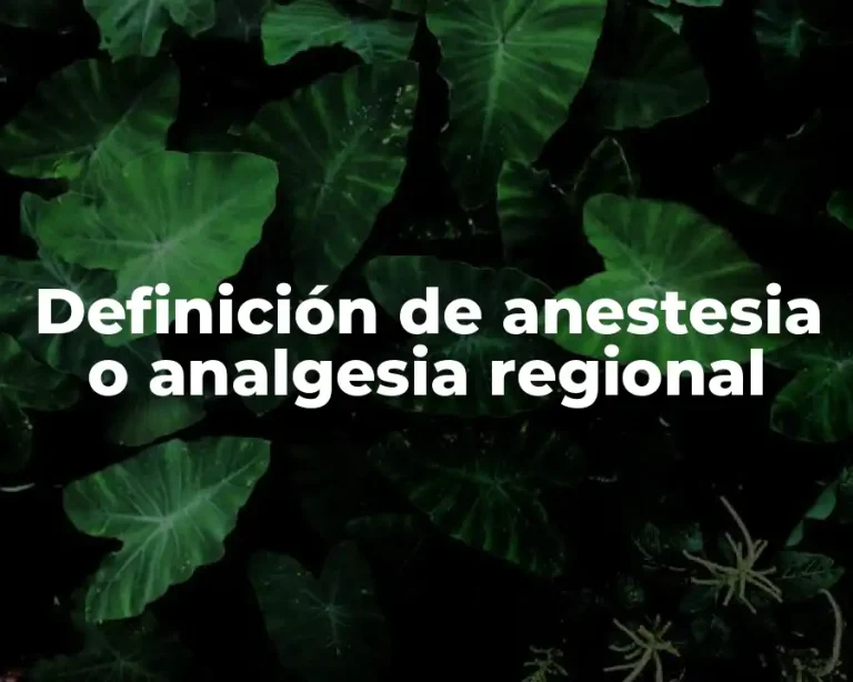 Definición de anestesia o analgesia regional
