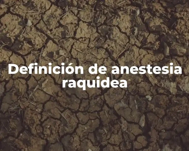 Definición de anestesia raquidea