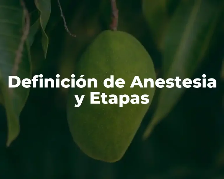 Definición de Anestesia y Etapas