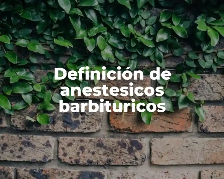 Definición de anestesicos barbituricos