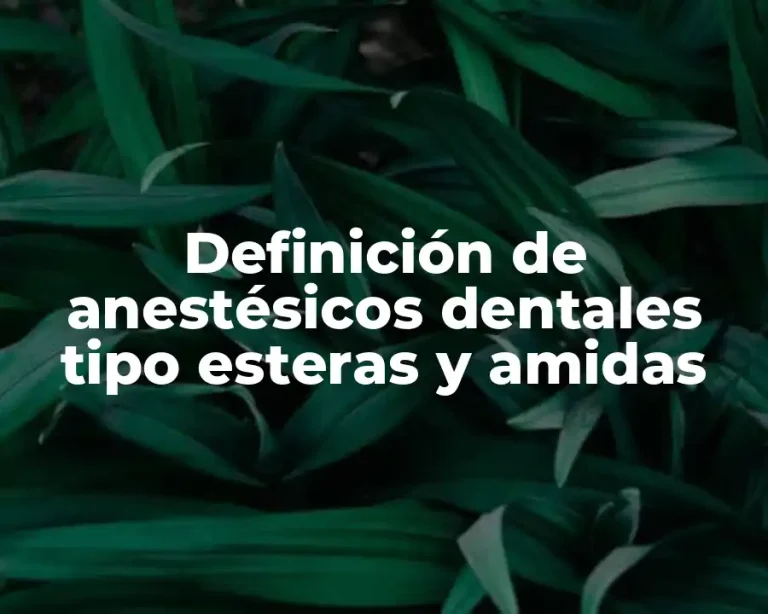 Definición de anestésicos dentales tipo esteras y amidas