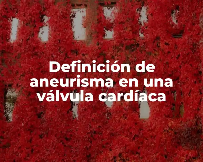 Definición de aneurisma en una válvula cardíaca