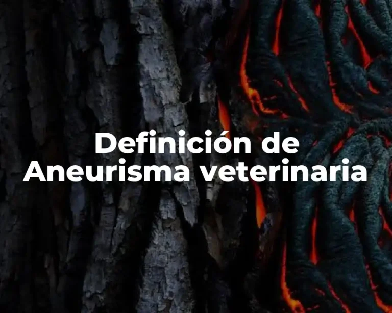 Definición de Aneurisma veterinaria