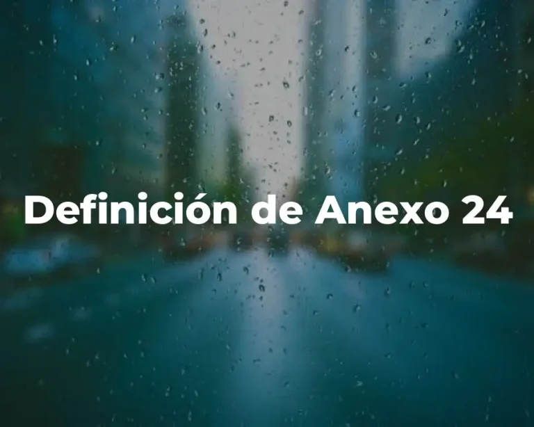 Definición de Anexo 24