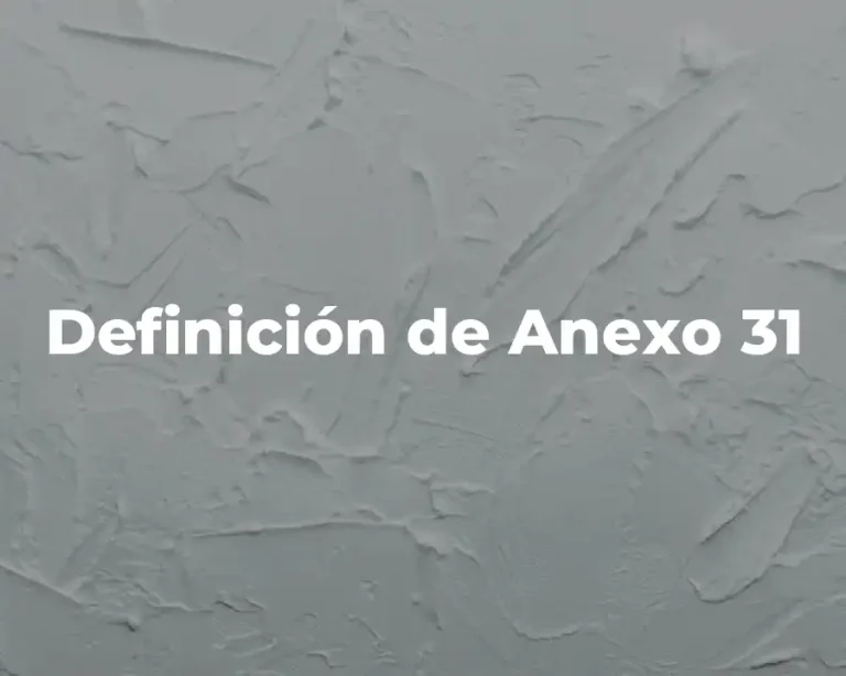 Definición de Anexo 31