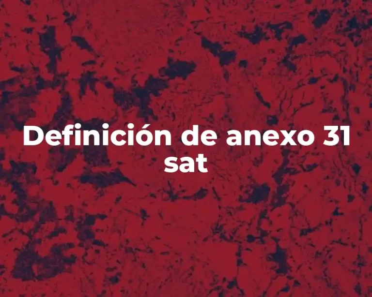 Definición de anexo 31 sat
