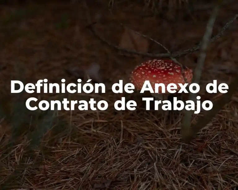 Definición de Anexo de Contrato de Trabajo