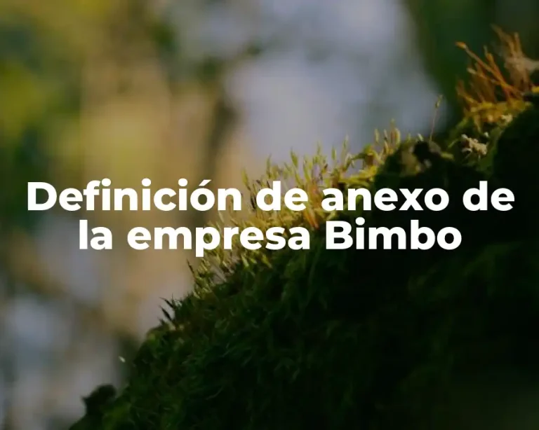 Definición de anexo de la empresa Bimbo