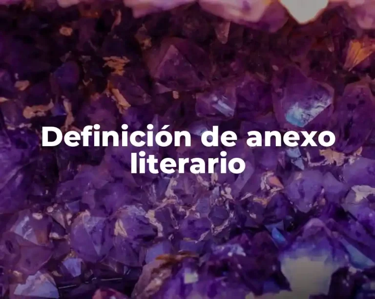 Definición de anexo literario