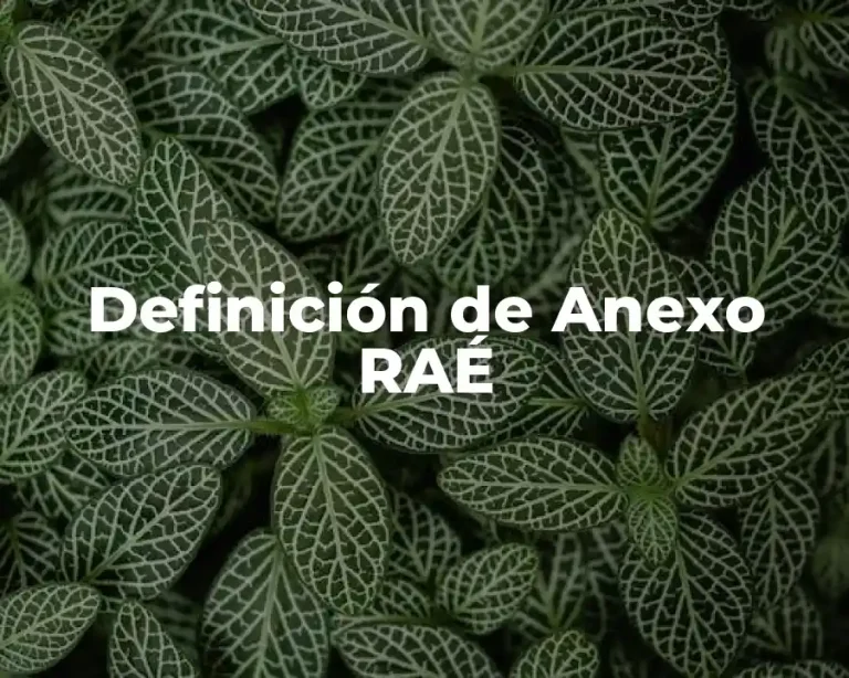 Definición de Anexo RAÉ