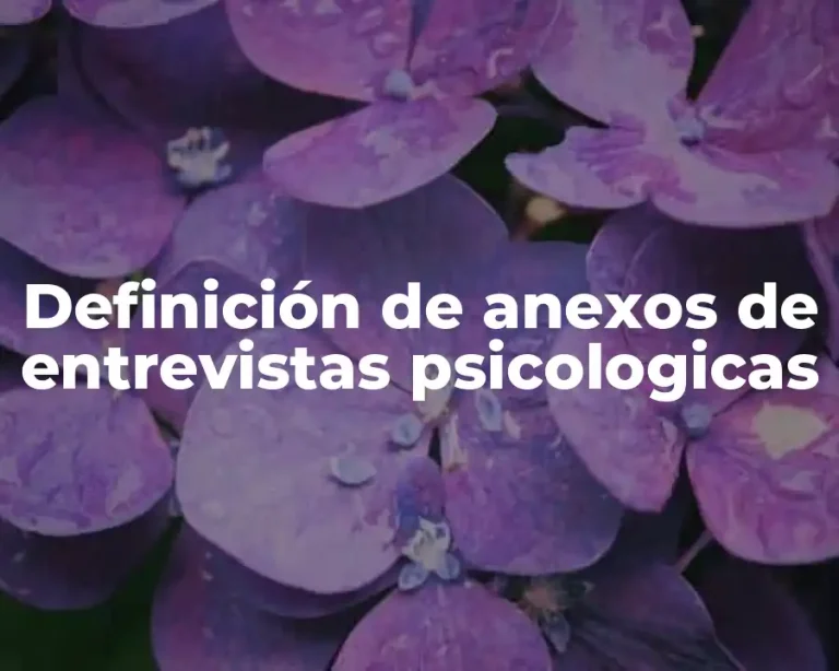 Definición de anexos de entrevistas psicologicas