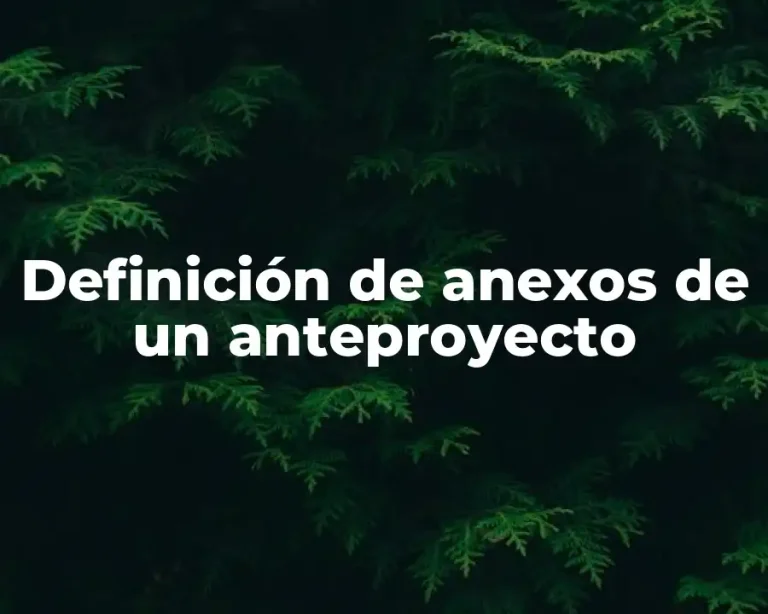 Definición de anexos de un anteproyecto