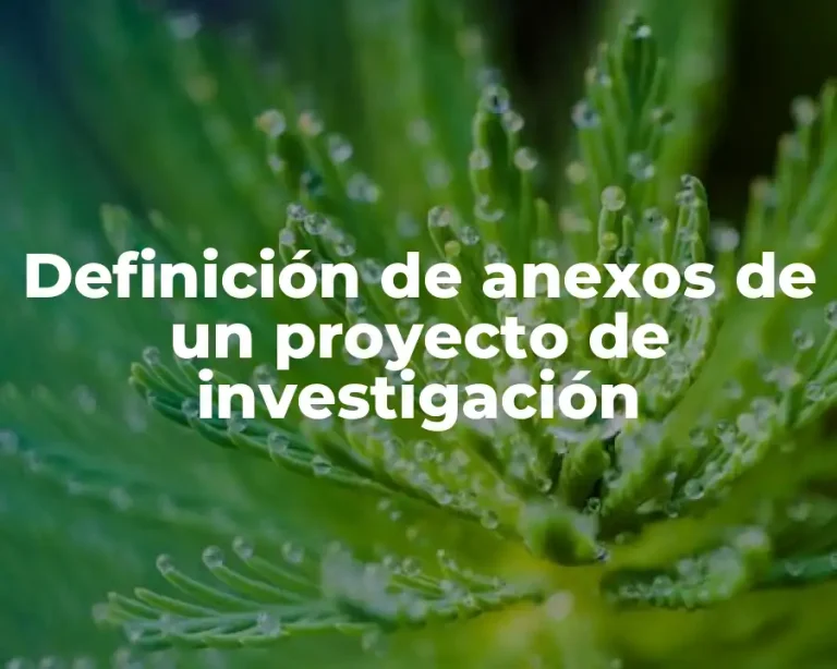 Definición de anexos de un proyecto de investigación