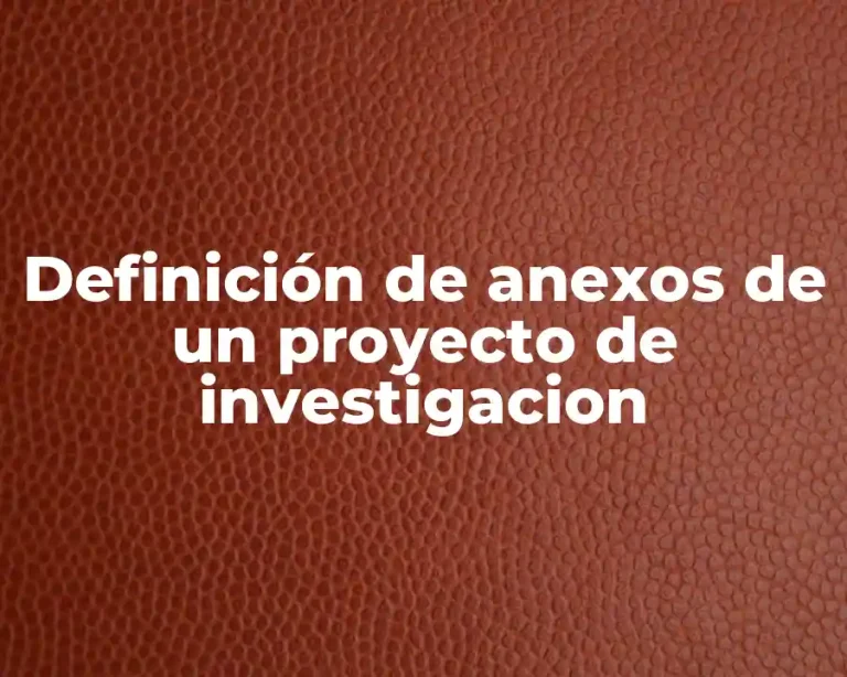 Definición de anexos de un proyecto de investigacion