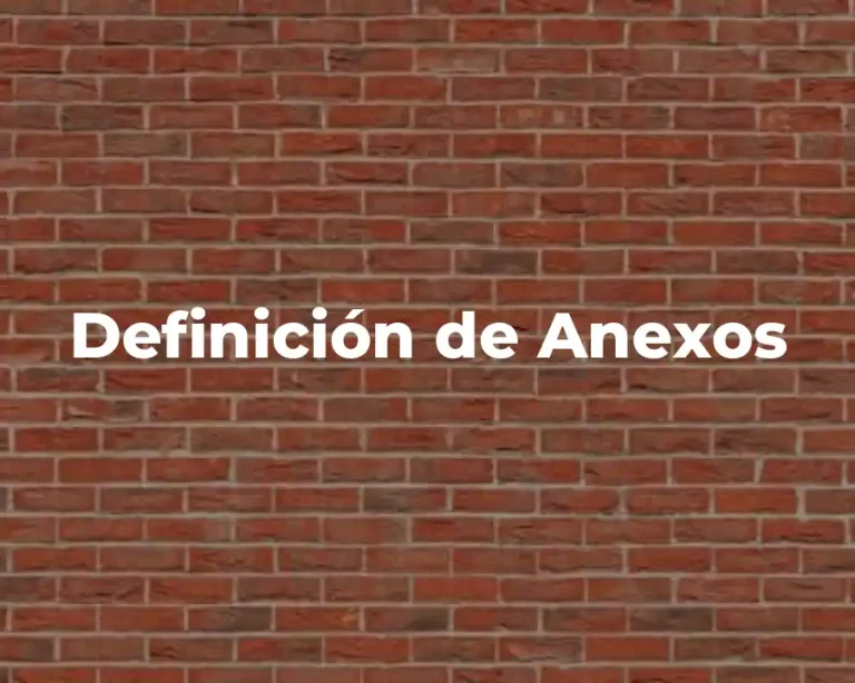 Definición de Anexos
