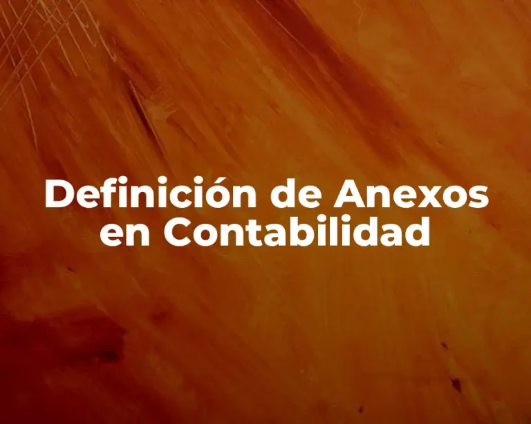 Definición de Anexos en Contabilidad