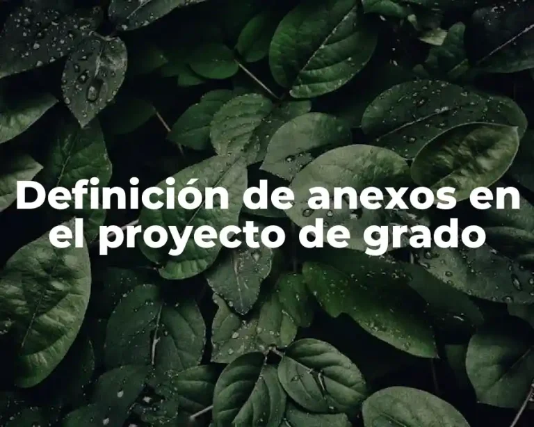 Definición de anexos en el proyecto de grado