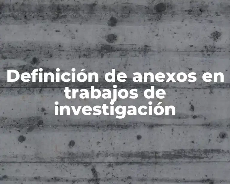 Definición de anexos en trabajos de investigación