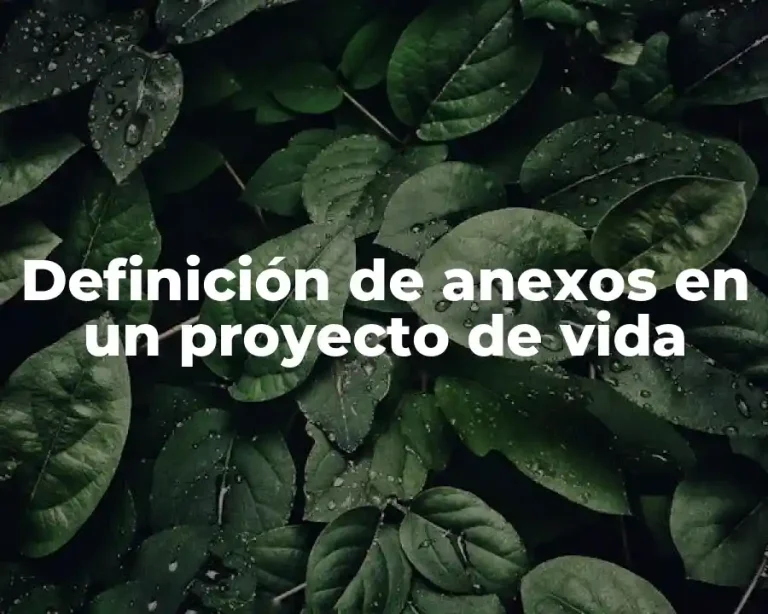 Definición de anexos en un proyecto de vida
