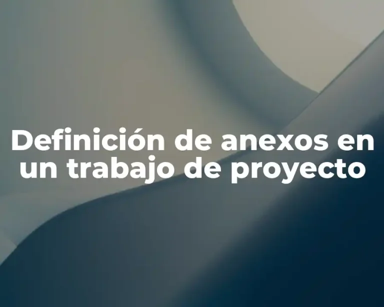Definición de anexos en un trabajo de proyecto