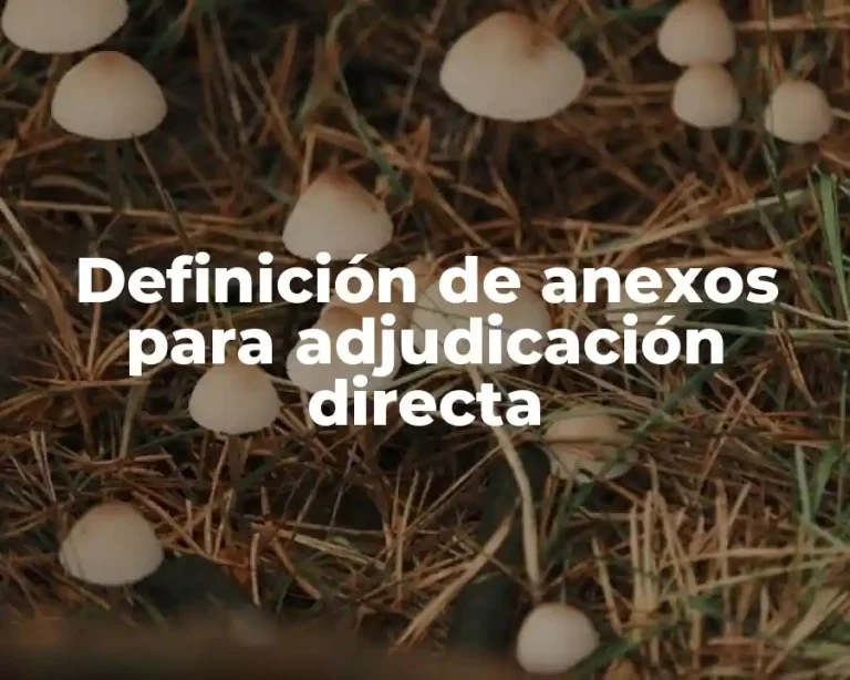 Definición de anexos para adjudicación directa