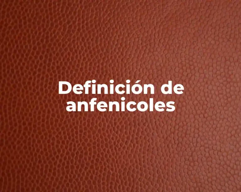 Definición de anfenicoles