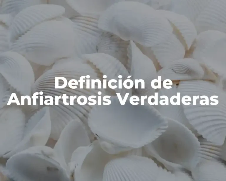 Definición de Anfiartrosis Verdaderas