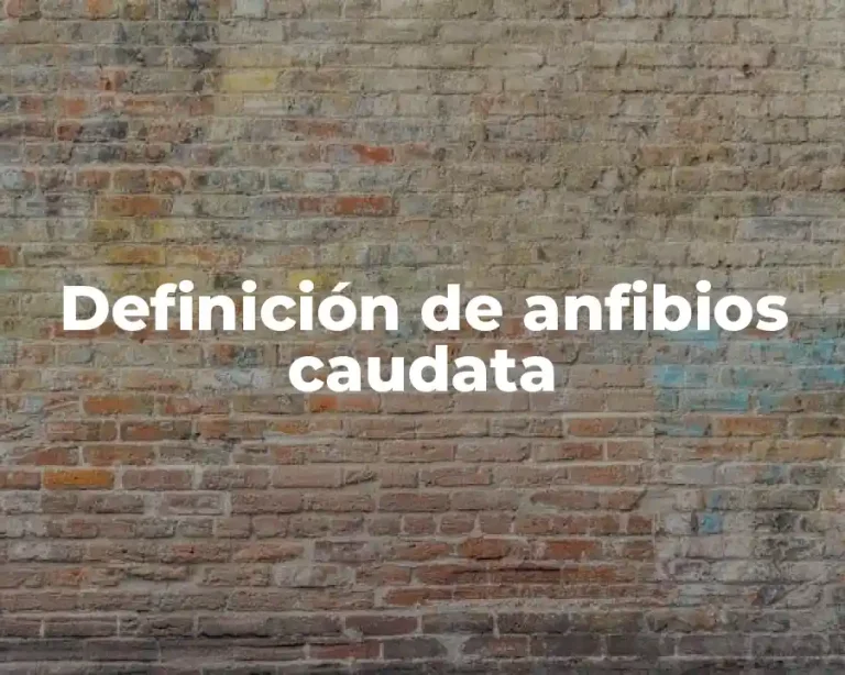 Definición de anfibios caudata